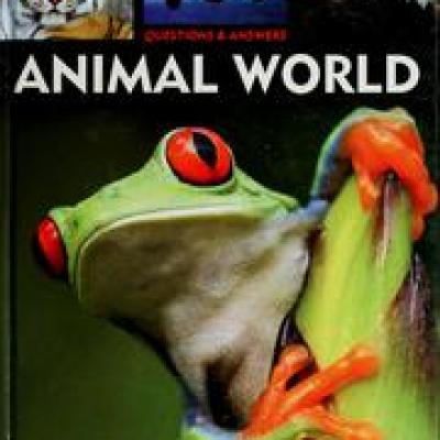 Animal world