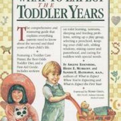 What to expect the toddler years