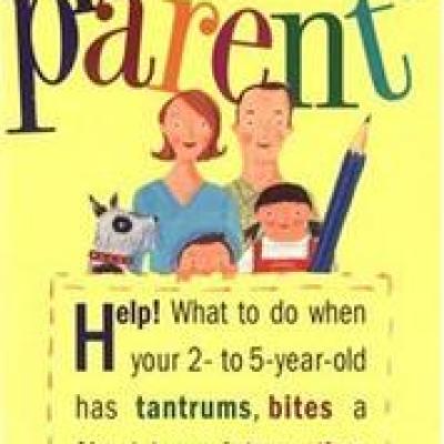 The Pocket Parent