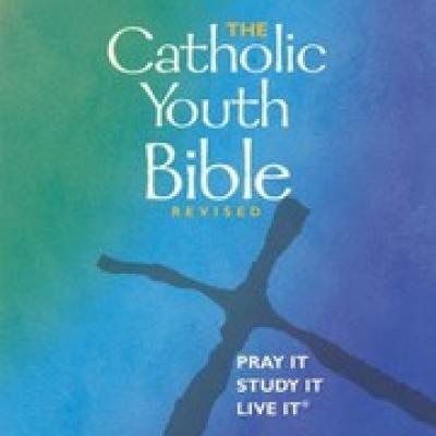 The Catholic youth Bible